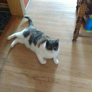 Meet your Posher, Gloria